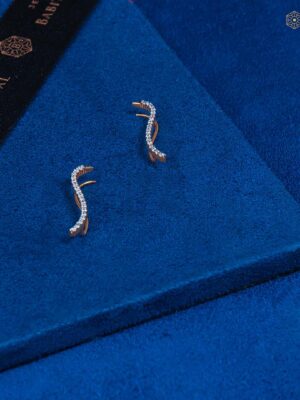 Sleek Curve Earrings